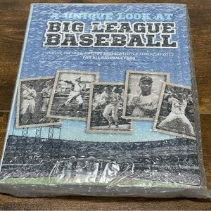 A Unique Look at Big League Baseball by Joe Taxiera  New  in Original Packaging
